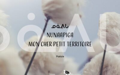 Ouvrage │ ᓄᓈᐱᒐ / Nunaapiga / Mon cher petit territoire │ Collectif inuit, avec A. Amarualik │ édition et traduction par M.-A. Mahieu & J. Léveillé-Trudel © 2024